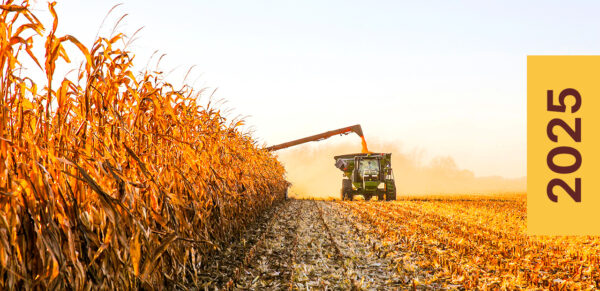 Colheita de ideias: Mais um ano de agro responsável em pauta