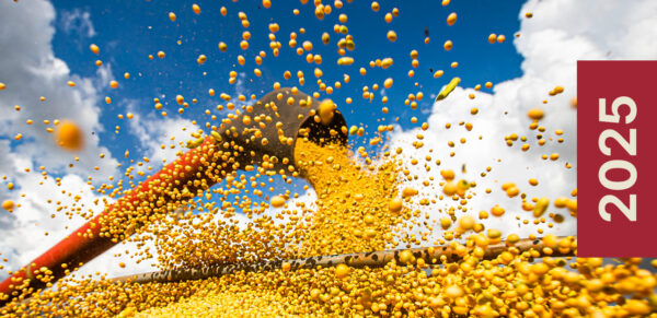 Reg.IA prova a eficiência da agricultura regenerativa com alta produtividade, baixa emissão e expansão em 2025