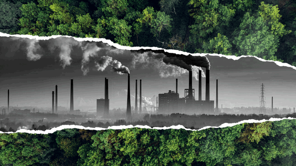 Você sabe o que é greenwashing?