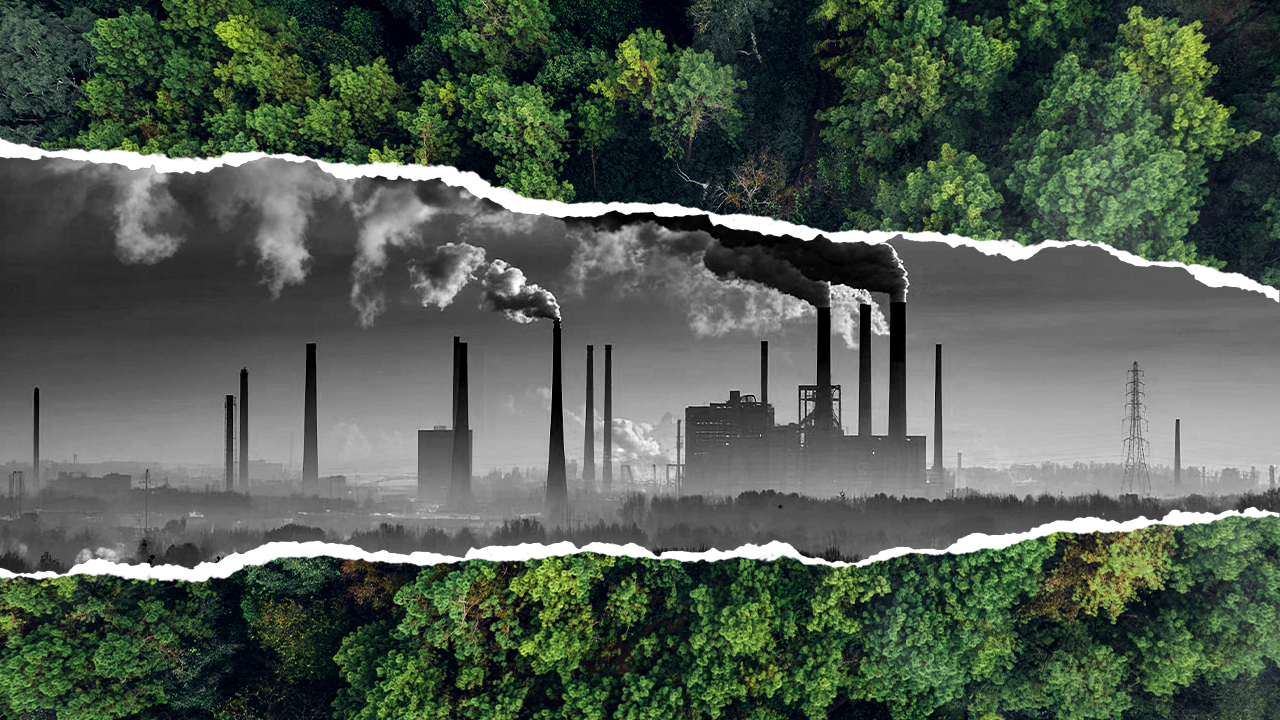 Você sabe o que é greenwashing?