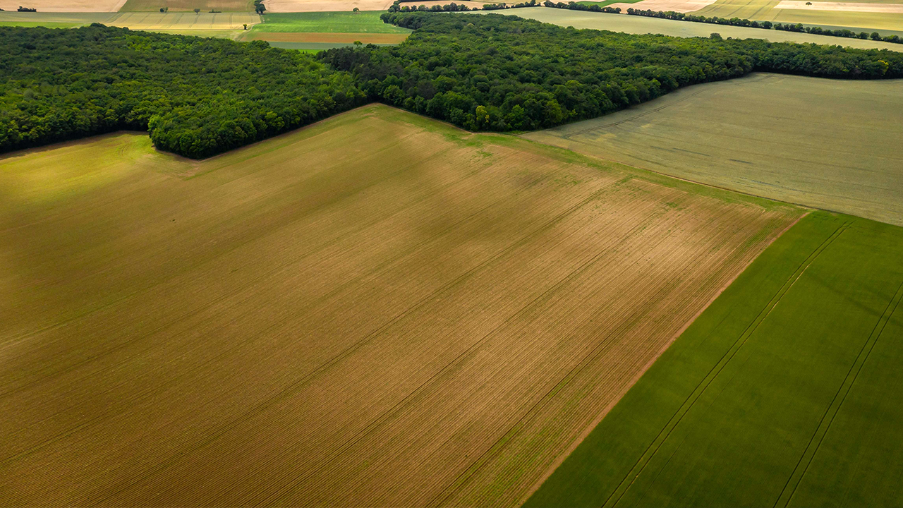 Conheça 7 certificações que fortalecem a sustentabilidade no agro