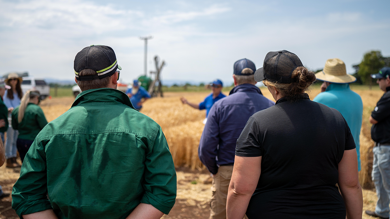 Como treinar a equipe da fazenda para práticas socioambientais