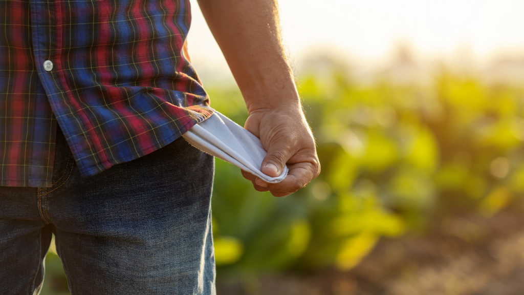 “O risco ambiental deixou de ser apenas uma questão reputacional para ser avaliado como um risco de crédito”