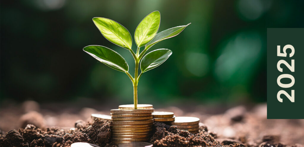 Crédito verde em construção: A busca por equilíbrio entre discurso e prática