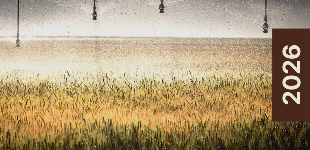 O que esperar do agro em 2026? O que esperar do agro em 2026?