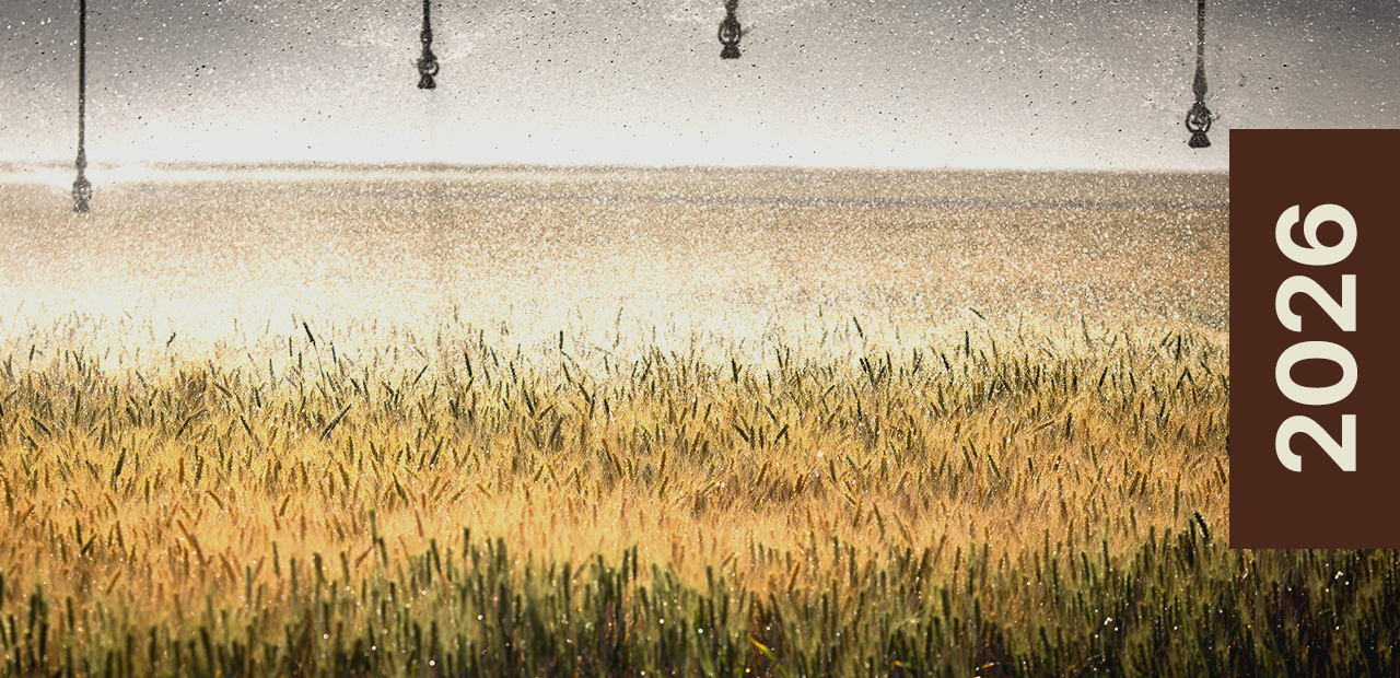 O que esperar do agro em 2026?