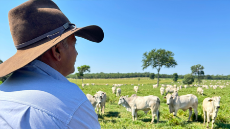 Entenda a polêmica: o bom e velho chapéu deve dar lugar ao capacete em todas as propriedades rurais?