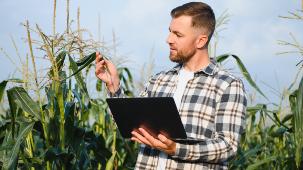 Profissional da defesa agrícola analisando um plantio, assegurando a biosseguridade agropecuária da propriedade