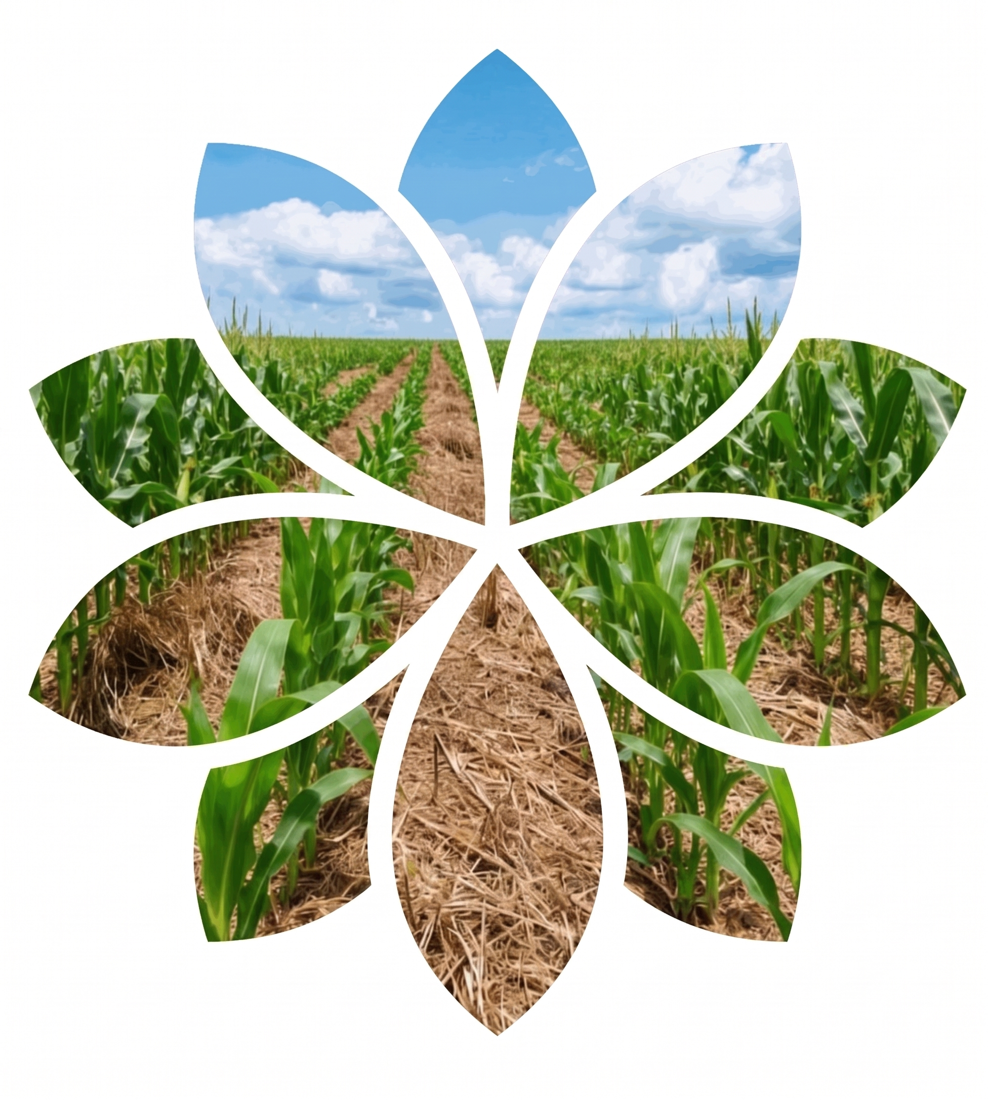 Agricultura Regenerativa