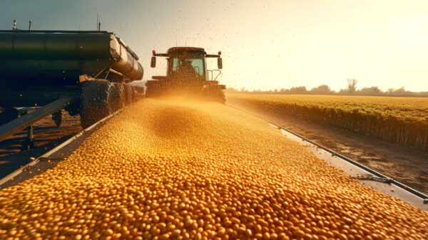 um dos destauqes do calendário do agro julho foi a colheita de soja