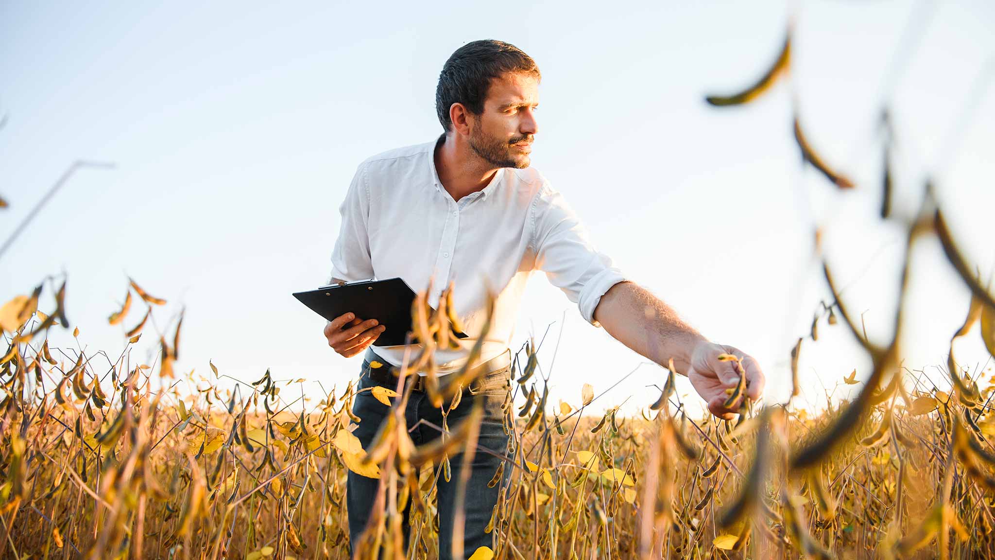 O que pensam os investidores do agro? Radar AgTech aponta tendências para inovação, sustentabilidade e rastreabilidade