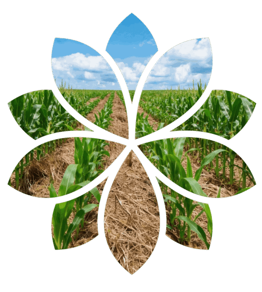 Agricultura Regenerativa