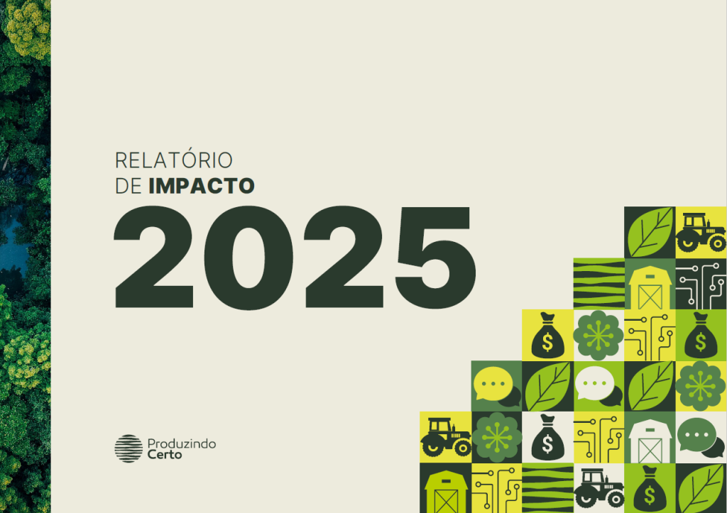 Relatório de Impacto 2025