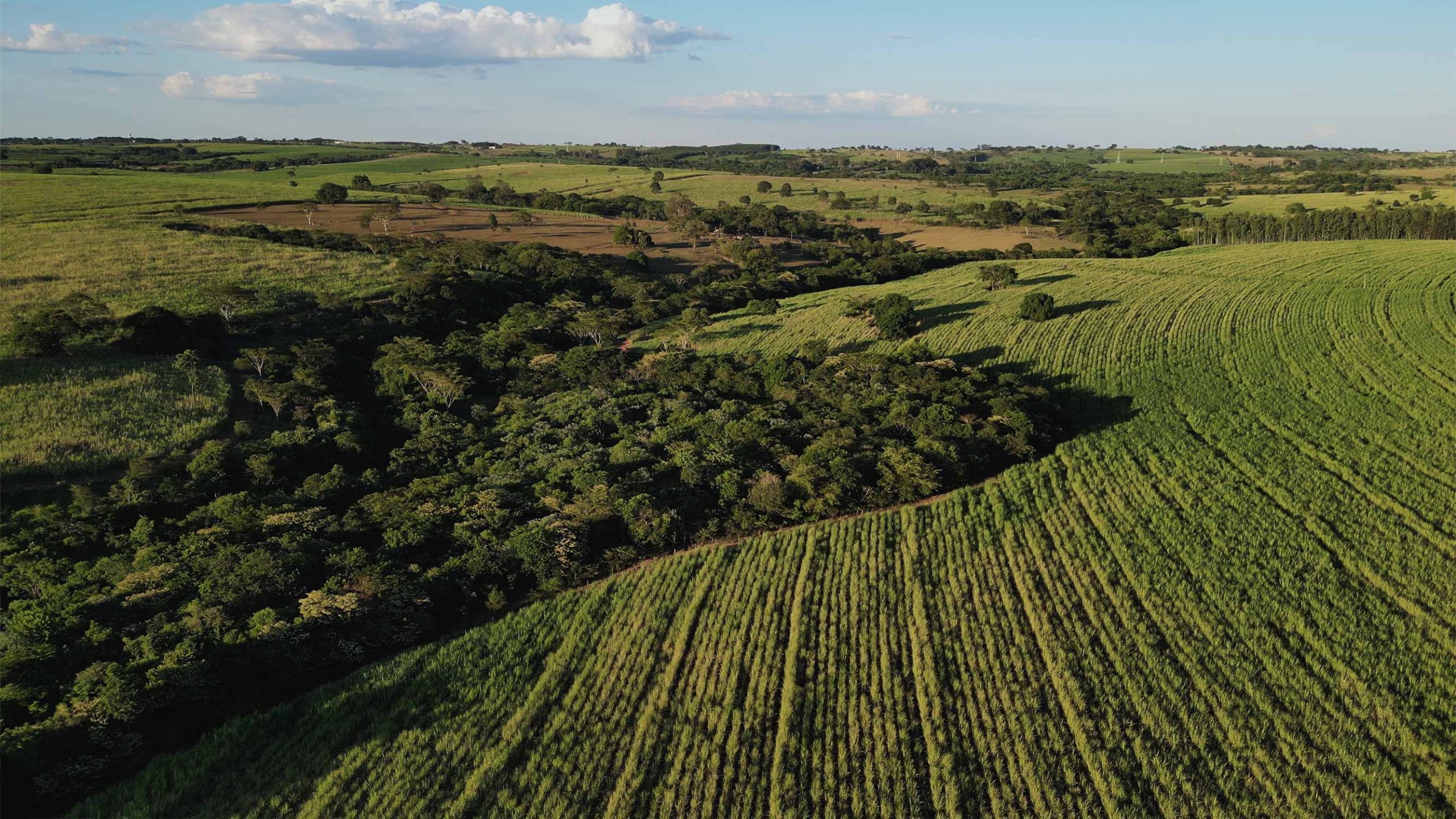O poder do exemplo: como o reconhecimento de boas práticas inspira a sustentabilidade no campo